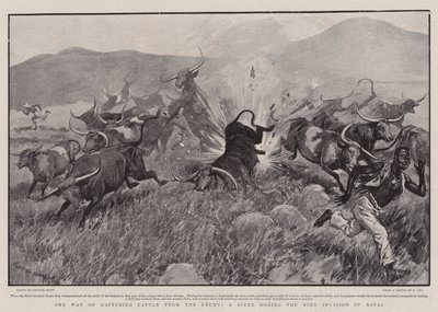 Una forma de capturar ganado del enemigo, una escena durante la invasión bóer de Natal de Georges Bertin Scott